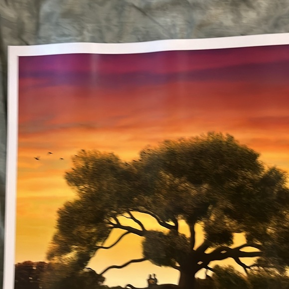 Forrest Gump 16x20 LE Movie Poster + coaster NEW - Picture 3 of 9